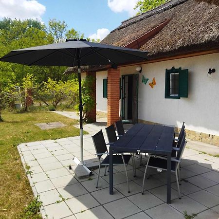 Boroka Tanya Villa Orgovany ภายนอก รูปภาพ