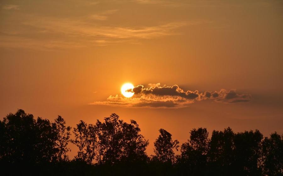 Boroka Tanya Villa Orgovany ภายนอก รูปภาพ